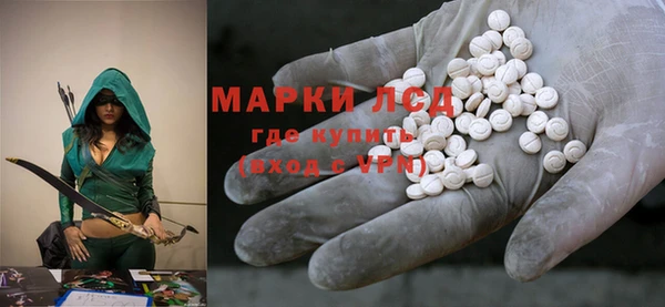 прущие грибы Абинск