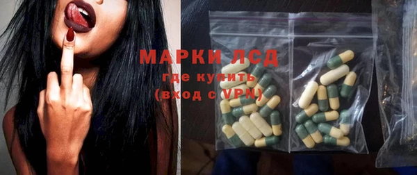 прущие грибы Абинск