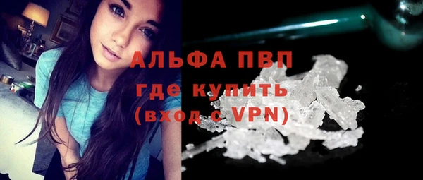 прущие грибы Абинск