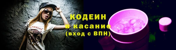 прущие грибы Абинск