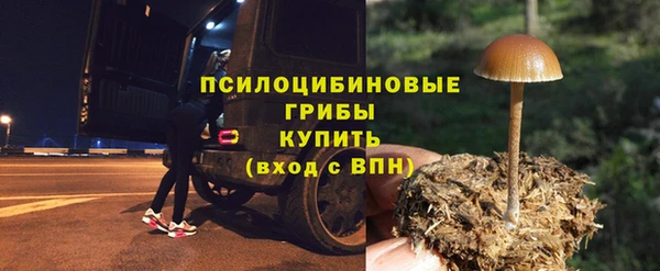 спиды Абаза