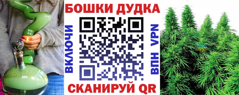 Шишки марихуана план где продают наркотики Алдан
